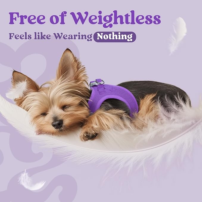 rabbitgoo Step-in Small Dog Harness, Puppy Vest for Small Sized Pet | Easy Put on and off, Lightweight, Soft, Breathable Quick-Dry Air Mesh for Comfortable Secure Walking, Purple S