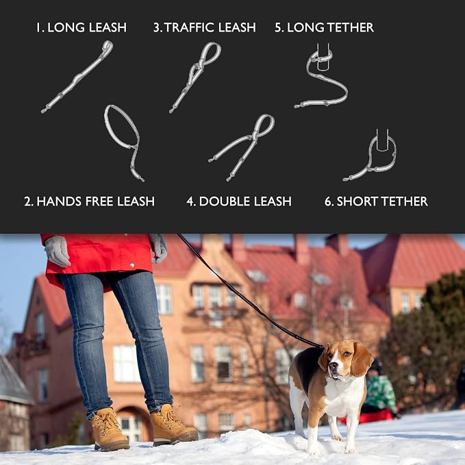 EzyDog Vario 6 Multi-Function Dog Leash - Standard, Red | Use as a 6.5 ft, 5.5 ft, or 4ft Leash, Use Hands Free, As a Short or Long Tether, or Double Leash, 1" Wide, Dogs Over 26 lbs