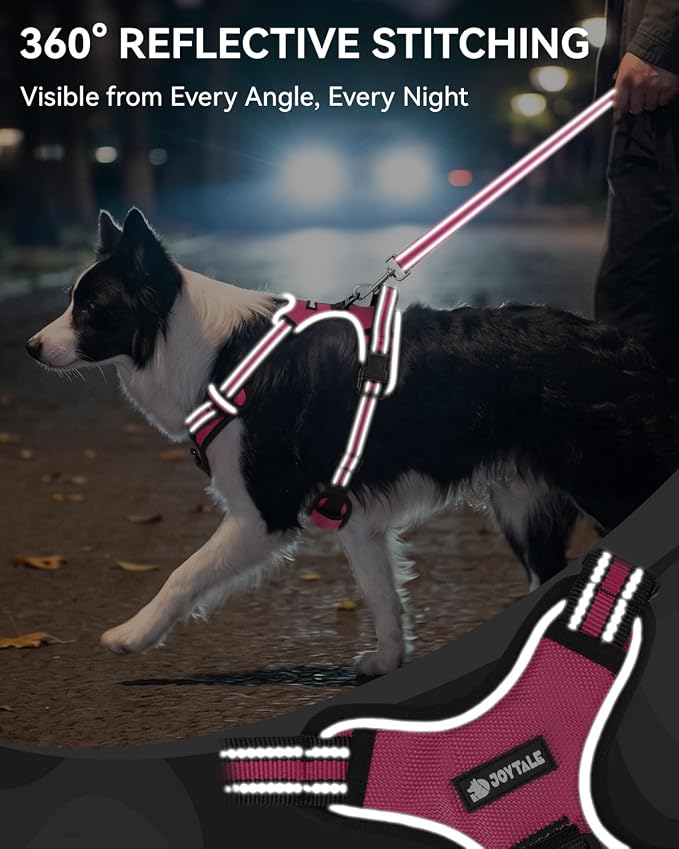 Joytale No Pull Dog Harness & Seat Belt, Easy On 3-Buckle, L, Hot Pink | Front Clip Reduces Pulling, Escape-Resistant Design, Adjustable Fit, Soft Padding for Comfort, Secure Tether for Safer Travel
