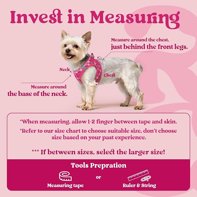 rabbitgoo Step-in Small Dog Harness, Puppy Vest for Small Sized Pet | Easy Put on and off, Lightweight, Soft, Breathable Quick-Dry Air Mesh for Comfortable Secure Walking, Rose Red Plaid XS