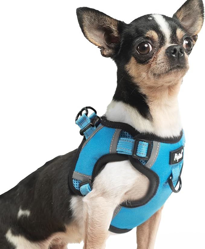 PUPTECK Dog Harness Small Sized Dog, Step in Adjustable Reflective Dog Vest Harness Escape Proof, No Pull Soft Padded Harness Easy Control, Blue, XS