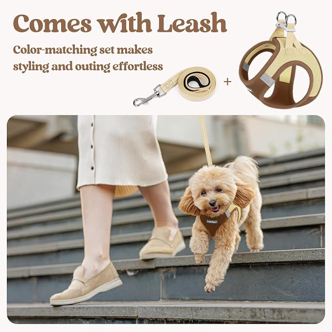 rabbitgoo Dog Harness Small Sized and Leash Set, Step-in Puppy Pet Vest | Light, Soft, Breathable Air Mesh, Easy on and Remove with Hook & Loop, Secure Reflective for Walking, Brown & Beige XXS