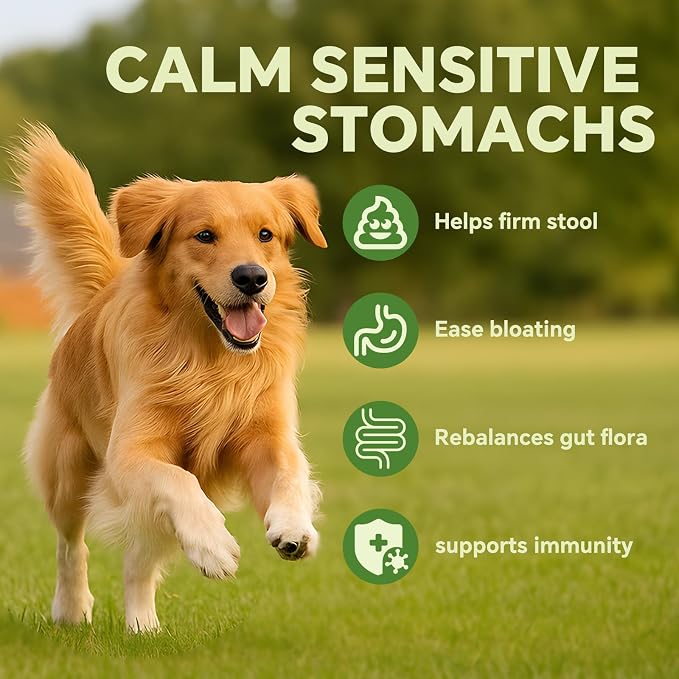 Probiotics for Dogs | Gut Health | Dogs Digestive Support | Dog Constipation Relief | Dog Stomach Upset Medicine | B12 for Dogs Supplement for IBD Support – Digestive Health– Diarrhea & Gas Relief