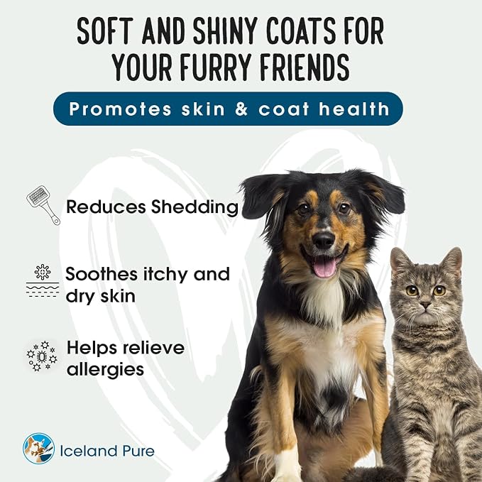 Iceland Pure Salmon Oil | Unscented Pharmaceutical Grade | 1118mg of Omega-3 per teaspoon | Liquid Food Supplement For Dogs and Cats | BPA-Free Brushed Aluminum Epoxy coated Bottle with Pump 17oz