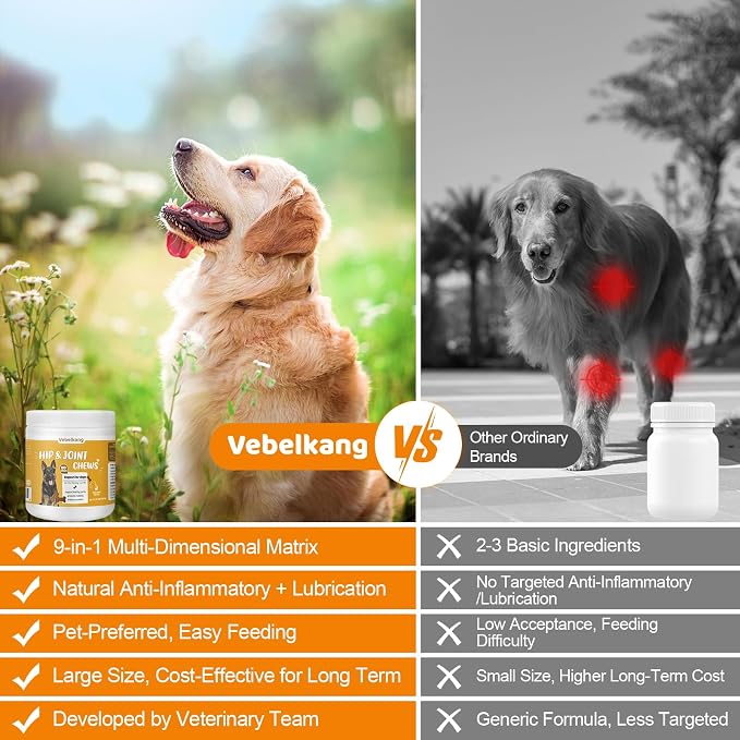 360 Chews Glucosamine Chondroitin Joint Chews for Dogs, Chicken Flavor 13 in 1 with Glucosamine, Chondroitin, MSM, Omega-3 Support Hip & Joint Support - Joint Pain Relief Flavored Fit All Breed