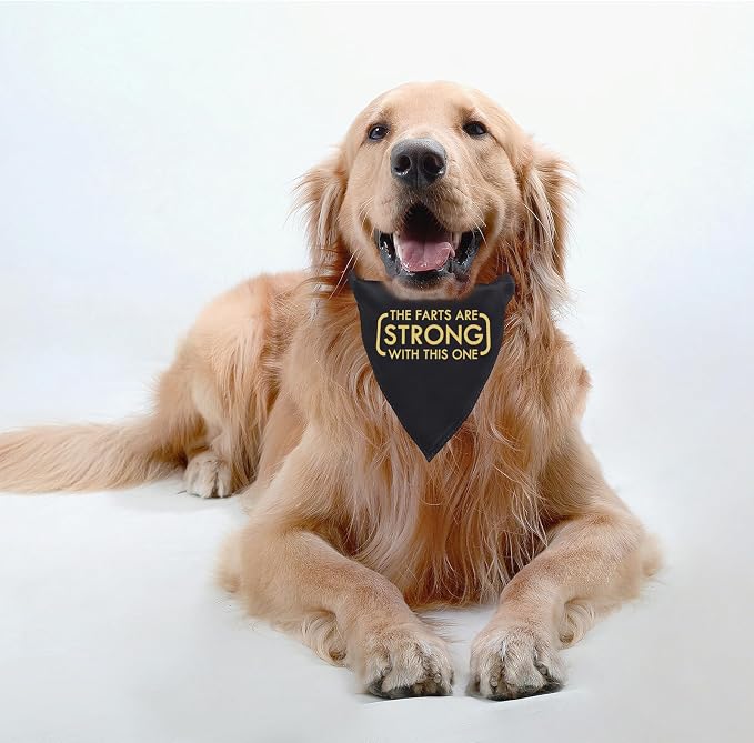 JXGZSO 1 Piece The Farts are Strong with This One Dog Bandana Funny Dog, One Size, Polyester