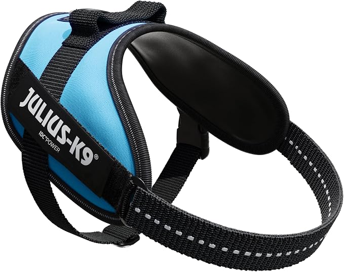Julius-K9, 16IDC-AM-M, IDC Powerharness, Dog Harness, Size: Mini, Aquamarine