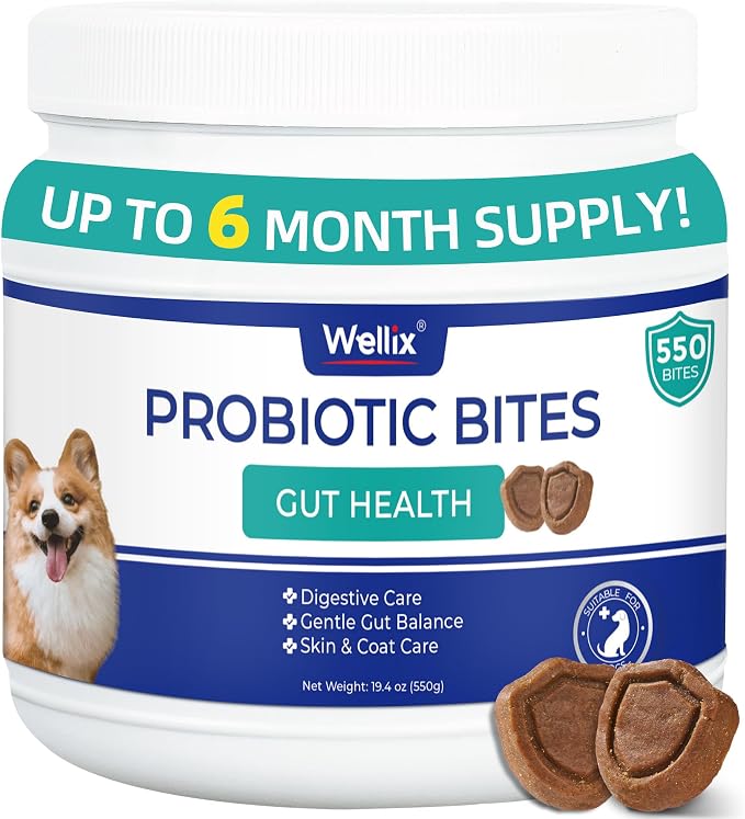 Wellix 19.04oz Probiotics for Dogs - Probiotics & Prebiotics with Pumpkin