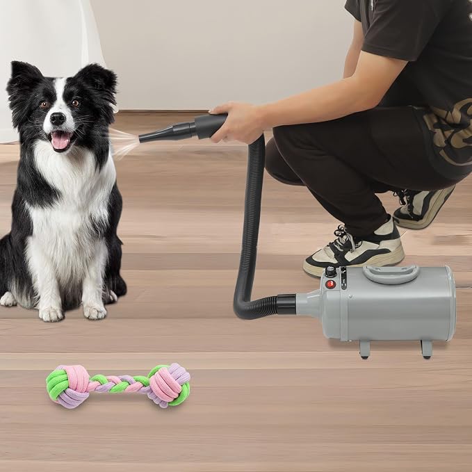 Dog Dryer, Dog Dryer for Pet Grooming, 2200W Pet Grooming High Velocity Force Blower with 4 Nozzles, Adjustable Speed and Temperature Control High Velocity Pet Blow Dryer (Gery)