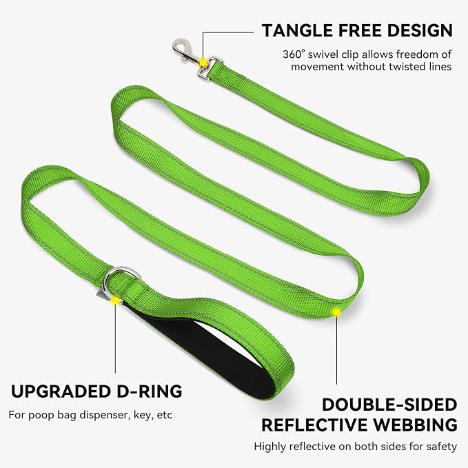 Joytale Reflective Dog Leash for Small Dogs, 5 FT x 3/4", Green | Heavy Duty Nylon Webbing, Padded Handle for Comfort, Visible at Night, for Walking & Training