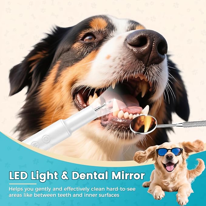 Dog Plaque Remover, Pet Tartar Remover for Teeth with LED Light & 5 Speed Modes, Dog Ultrasonic Tooth Cleaner, Tooth Brushing Kit for Teeth Stains for Dogs and Cats, Best Gift for Pet