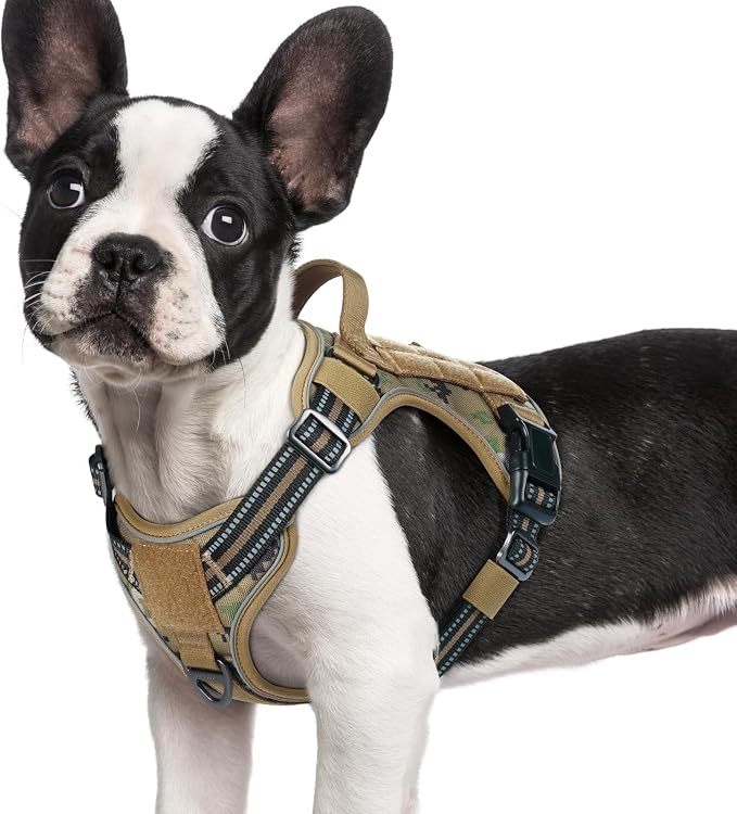 rabbitgoo Tactical Dog Harness for Small Dogs, No Pull Service Pet Vest | Military Molle System & Easy Control Handle, Adjustable and Reflective for Walking and Training, Brown Camo, Small