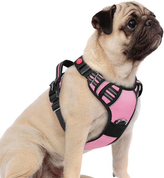 rabbitgoo Dog Harness Small Sized, No Pull 3 Buckles Easy On & Off | Soft Padded, Walking with Control Handle, Adjustable and Reflective, Light Pink, Small