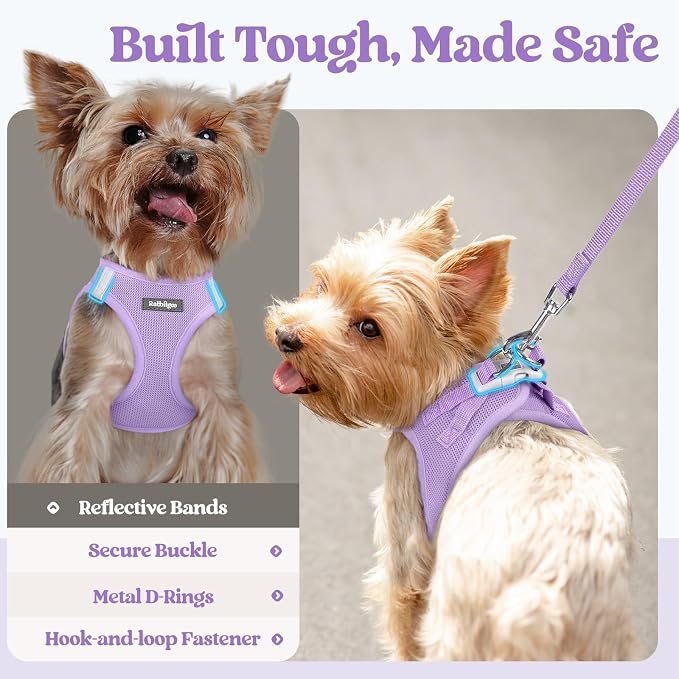 rabbitgoo Dog Harness Medium Sized and Leash Set, Step-in Puppy Pet Vest | Light, Soft, Breathable Air Mesh, Easy on and Remove with Hook & Loop, Secure Reflective for Walking, Light Purple XL