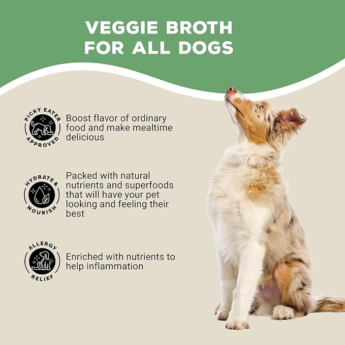 Brutus Broth Dog Food Topper - Instant Broth Powder with Omegas 3,6,9 from Microalgae Oil for Skin and Coat - Human-Grade Quality, Serve Dry or Wet - Vegetable Flavor, 3.5 oz (Pack of 1)