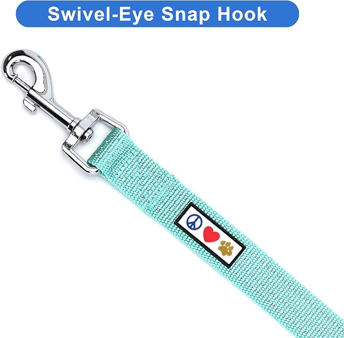 Pawtitas Teal Dog Leash 6 ft XS/S Reflective Durable Lightweight Dog Lead for Small Dogs and Puppies