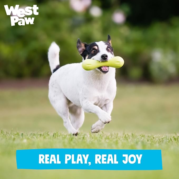 WEST PAW Zogoflex Hurley Dog Bone Chew Toy – Floatable Pet Toys for Aggressive Chewers, Catch, Fetch – Bright-Colored Bones for Dogs – Recyclable, Dishwasher-Safe, Non-Toxic, Large, Aqua