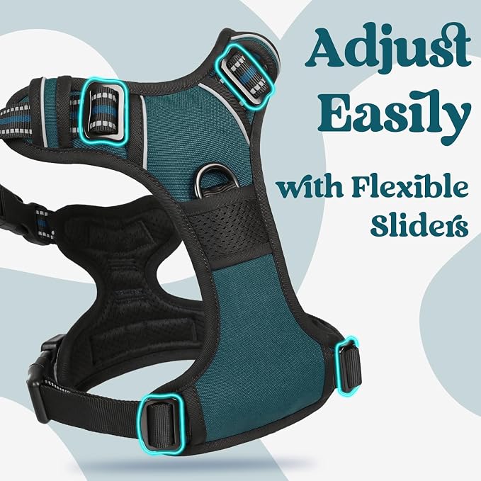 rabbitgoo Dog Harness for Large, Updated Easy On & Off with 3 Buckles | No Pull No Choke, Walking with 2 Clips and Handle, Adjustable Soft Reflective, Blue Coral, Large