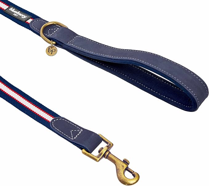 Blueberry Pet Polyester Fabric Webbing and Soft Genuine Leather Dog Leash with Soft & Comfortable Handle, 4 ft x 3/4", Navy White and Red, Leashes for Dogs