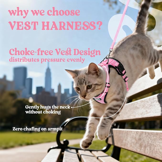 rabbitgoo Cat Harness and Leash Set, Escape Proof Vest, Pink | Soft Breathable Mesh, Easy Adjustable Fit, Snap Buckles, Sturdy Clip, Reflective Strips, for Kittens & Small Cats Walks, Xxs