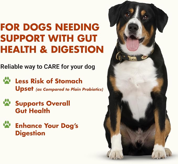 Pre & PostBiotic Dog Support - Digestive & Stool Quality, Picky Eaters