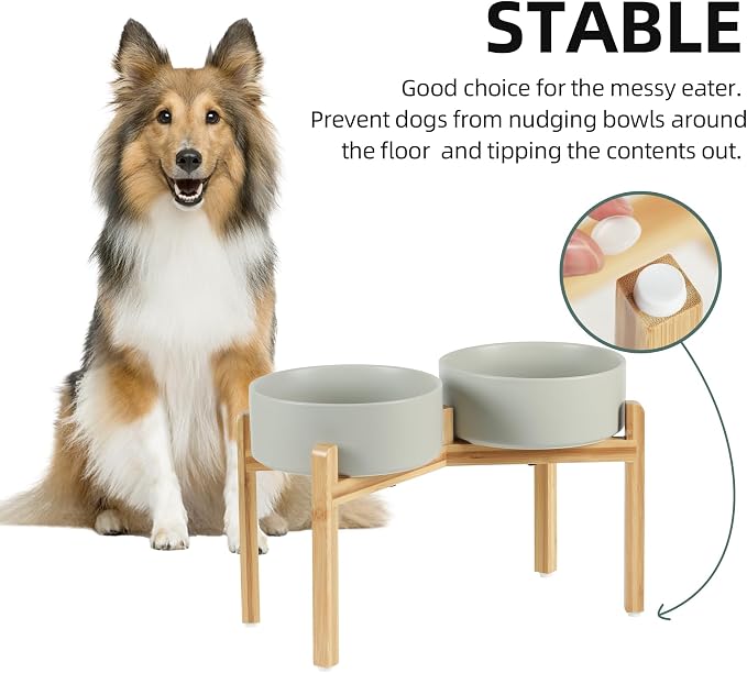 Havniva 8.3” Dog Bowls Elevated Ceramic Dog Food and Water Bowl Set, Double Raised Dog Water Bowl with Stand Non-Slip Rubber Base Large Capacity Feeding Pet Food Bowl for Large Dogs