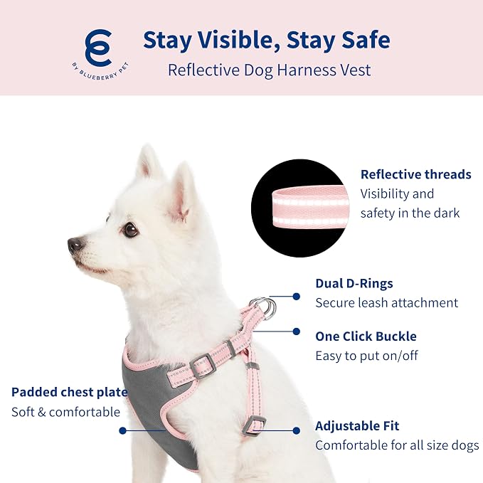 Blueberry Pet Matching Reflective Harness and Leash Set | Adjustable Pastel Vest with Lead for Dogs – Great Value Gift Set | Adjustable Baby Pink Vest for Medium Breeds