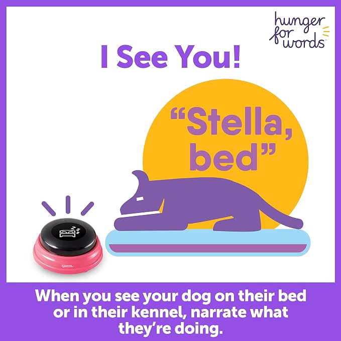 Hunger For Words Talking Pet Buttons, 3 Piece Set