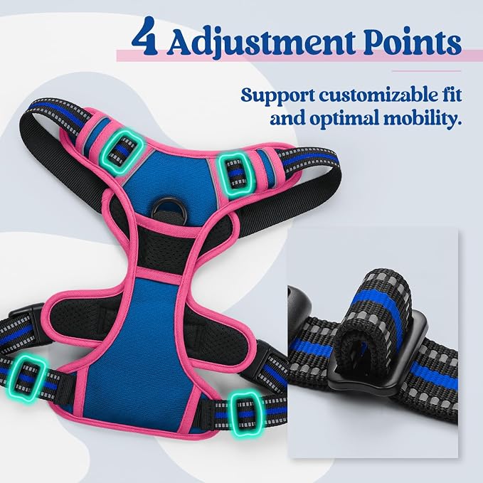 rabbitgoo Dog Harness, No Pull for Large Dogs with 2 Leash Clips, Pet Vest | No Choke with Handle, Adjustable Soft Padded, Reflective, Easy Control for Walking, Blue & Hot Pink, Large