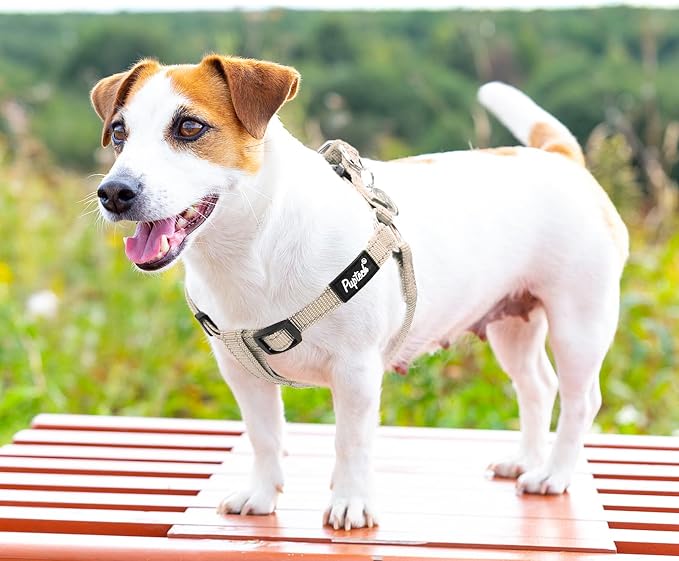 PUPTECK No Pull Dog Harness Small Sized Step-in Adjustable Puppy Vest | Soft Webbing Basic Halter with ID Tag for Outdoor Walking