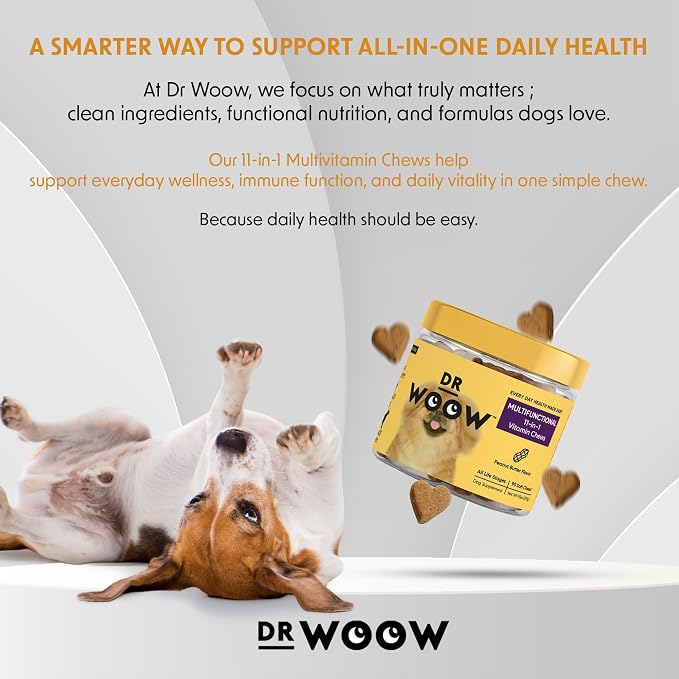 Multivitamin Supplements for Dogs Soft Chews (90 CT) – 11-in-1 Daily Wellness + Immune & Gut Support – Glucosamine + Probiotics – Made in USA