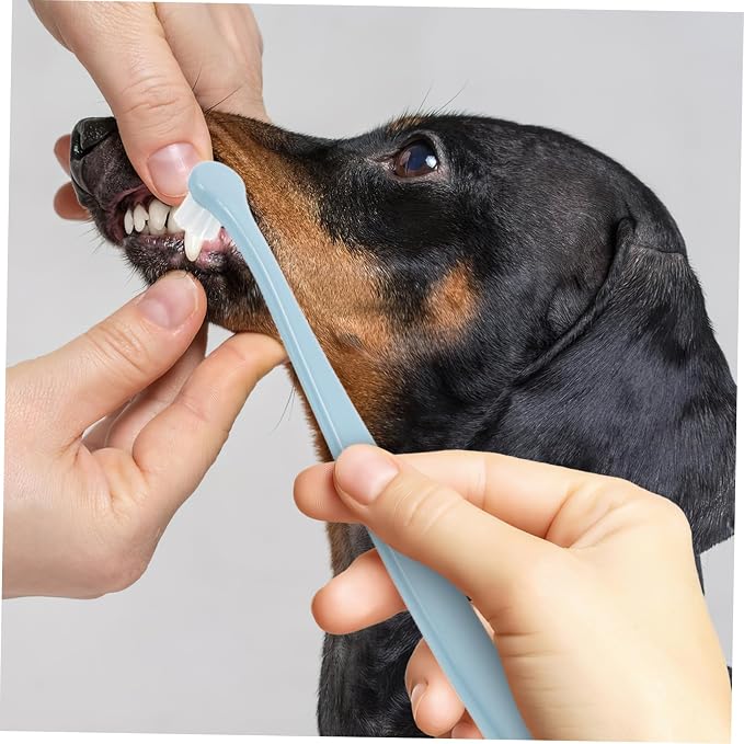 BESPORTBLE Soft PET Toothbrush for Dogs and Cats Round Head Design for Deep Clean Mouth -Piece Dental Cleaning Kit Soft Bristles for Puppies and Kittens