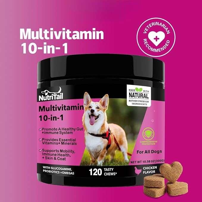 NutriTrail Multivitamin for Dogs – 10-in-1 Soft Chews with Glucosamine, Probiotics, Omega-3, Vitamins & Minerals – Supports Hip & Joint, Digestion, Skin & Coat, and Immune Health – Chicken, 120 Ct
