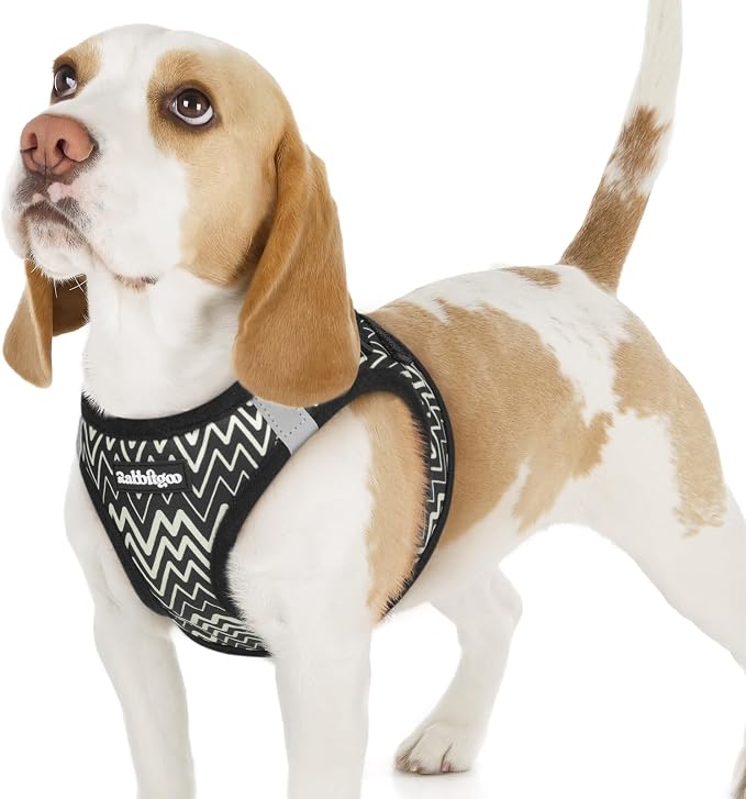 rabbitgoo Step-in Small Dog Harness, Puppy Vest for Small Sized Pet | Easy Put on and off, Lightweight, Soft, Breathable Quick-Dry Air Mesh for Comfortable Secure Walking, Black Zigzag M