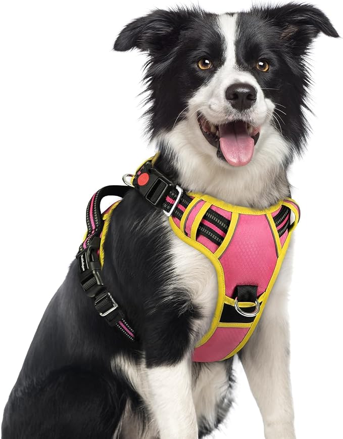 rabbitgoo Dog Harness Medium Sized, No Pull 3 Buckles Easy On & Off | Soft Padded, Walking with Control Handle, Adjustable and Reflective, Pink & Yellow, Medium