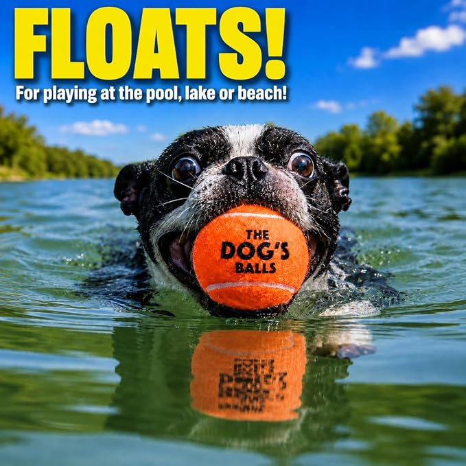The Little Dog’s Balls Small Dog Tennis Balls 6-Pack Orange Floats in Water | Our fetch balls combine non-abrasive felt exterior and a thicker rubber core Durable Dog Toy for Outdoor Play & Training