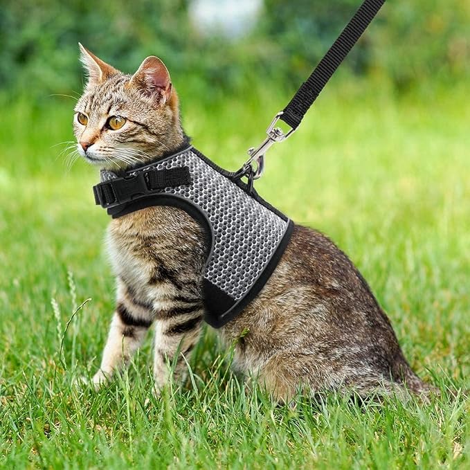 PUPTECK Soft Mesh Cat Vest Harness and Leash Set Puppy Padded Pet Harnesses Escape Proof for Cats Small Dogs Rabbits Bunny