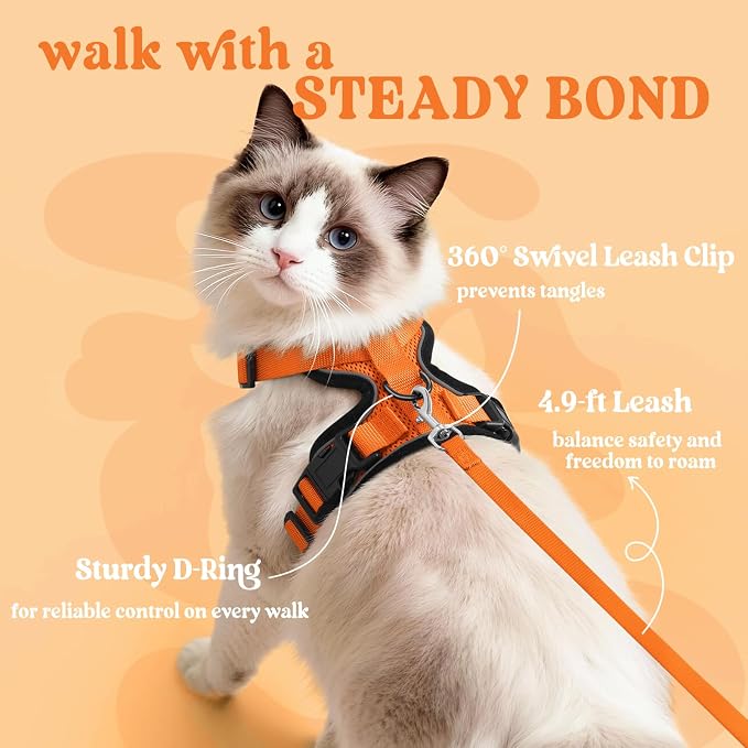 rabbitgoo Cat Harness and Leash Set, Escape Proof Vest, Orange | Soft Breathable Mesh, Easy Adjustable Fit, Snap Buckles, Sturdy Clip, Reflective Strips, for Small & Average Cats Walks, Xs