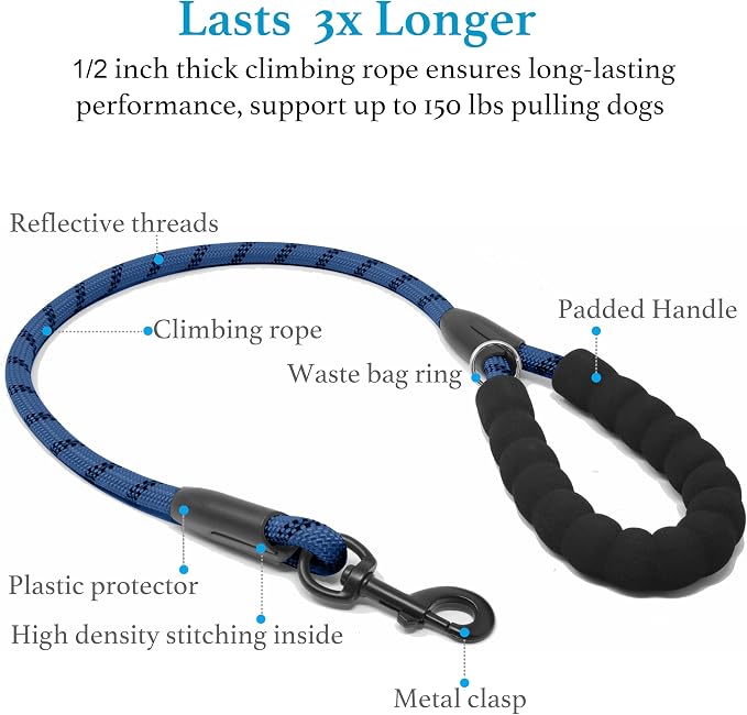 iYoShop Double Dog Leash, 360° Swivel, No Tangle, Large, True Navy | Dual Leash for Two Dogs, Split Leash, Shock-Absorbing Bungee, Padded Handle, Heavy-Duty Rope