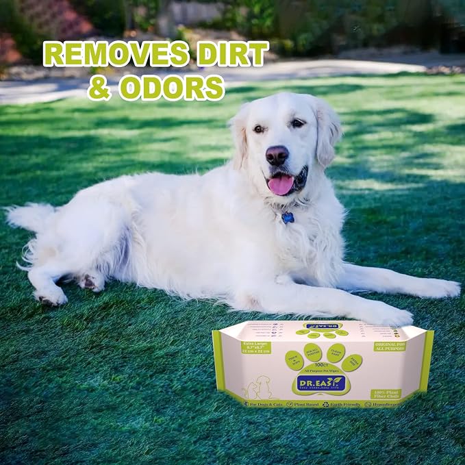 DR.EASY All Purpose Grooming Wipes, No Fragrance, 100 Count