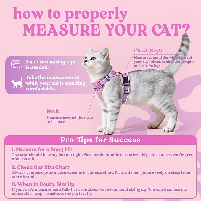 rabbitgoo Cat Harness and Leash Set, Escape Proof Vest, Pink & Light Purple | Soft Breathable Mesh, Easy Adjustable Fit, Snap Buckles, Sturdy Clip, Reflective Strips, for Small & Average Cats Walks, Xs