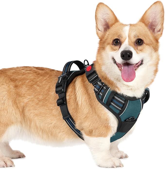rabbitgoo Dog Harness Small Sized, Updated Easy On & Off with 3 Buckles | No Pull No Choke, Walking with 2 Clips and Handle, Adjustable Soft Reflective, Blue Coral, Small