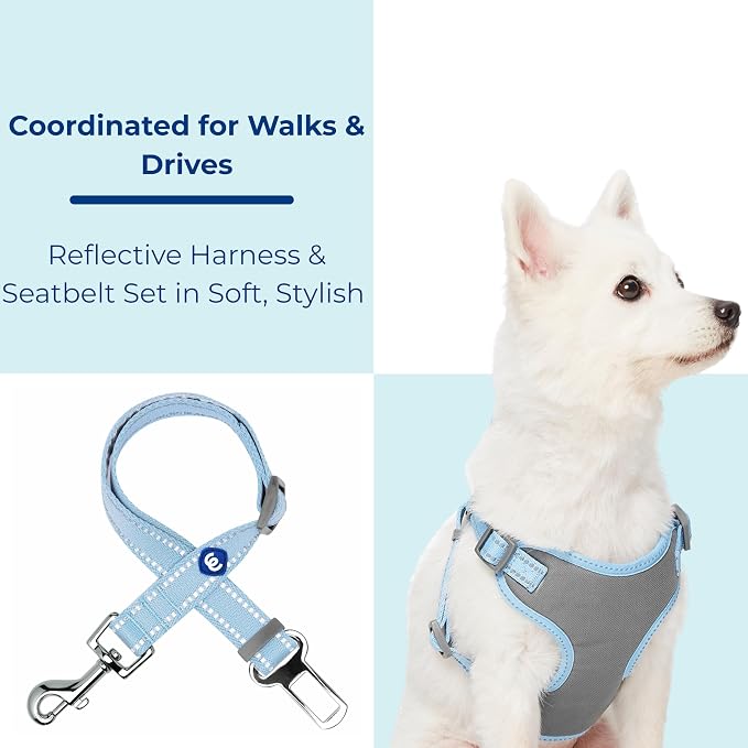 Blueberry Pet Pastel Colored Reflective Dog Harness with Seatbelt Clip – Adjustable No-Pull Pet Vest for Walking and Car Safety, Large Size in Baby Blue