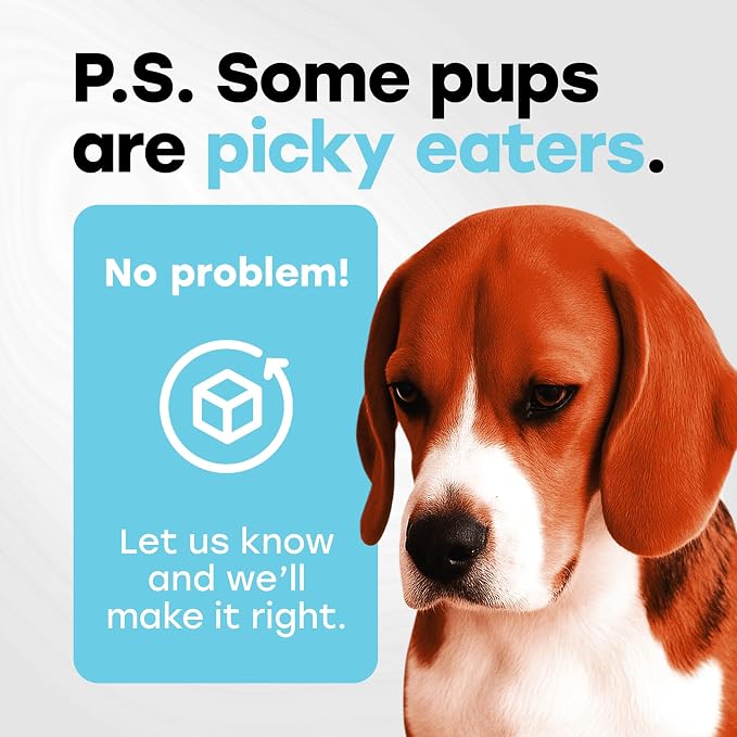 Probiotics for Dogs - Digestion, Gut Health & Firmer Stool