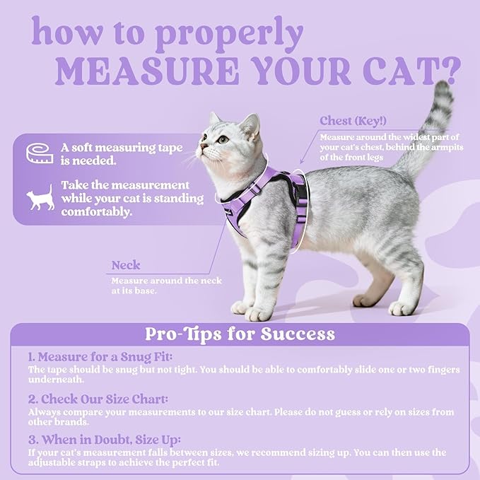 rabbitgoo Cat Harness and Leash Set, Escape Proof Vest, Light Purple | Soft Breathable Mesh, Easy Adjustable Fit, Snap Buckles, Sturdy Clip, Reflective Strips, for Kittens & Small Cats Walks, Xxs