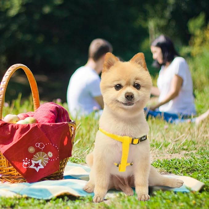 PUPTECK No Pull Dog Harness Small Sized Step-in Adjustable Puppy Vest | Soft Webbing Basic Halter with ID Tag for Outdoor Walking