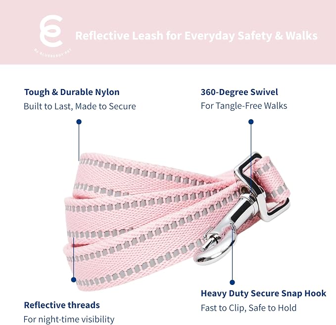 Blueberry Pet Essentials Reflective Dog Collar & Leash Set, Adjustable for Small Dogs | Safe Walking Gear for Pet Parents, Puppy Training & Daily Use SmallDogs, Baby Pink