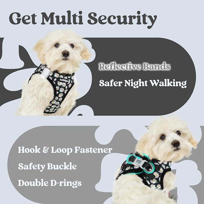 rabbitgoo Step-in Small Dog Harness, Puppy Vest for Small Sized Pet | Easy Put on and off, Lightweight, Soft, Breathable Quick-Dry Air Mesh for Comfortable Secure Walking, Midnight Daisy XS