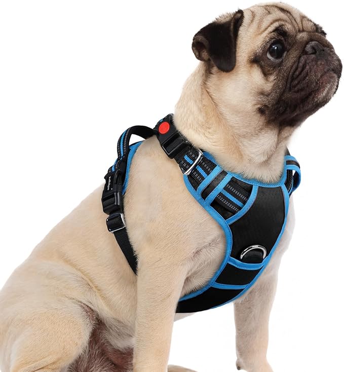 rabbitgoo Dog Harness Small Sized, No Pull 3 Buckles Easy On & Off | Soft Padded, Walking with Control Handle, Adjustable and Reflective, Black & Blue, Small