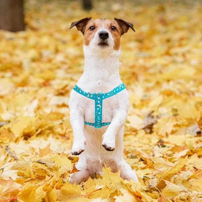 PUPTECK No Pull Dog Harness Small Sized Step-in Adjustable Puppy Vest | Soft Webbing Basic Halter with ID Tag for Outdoor Walking